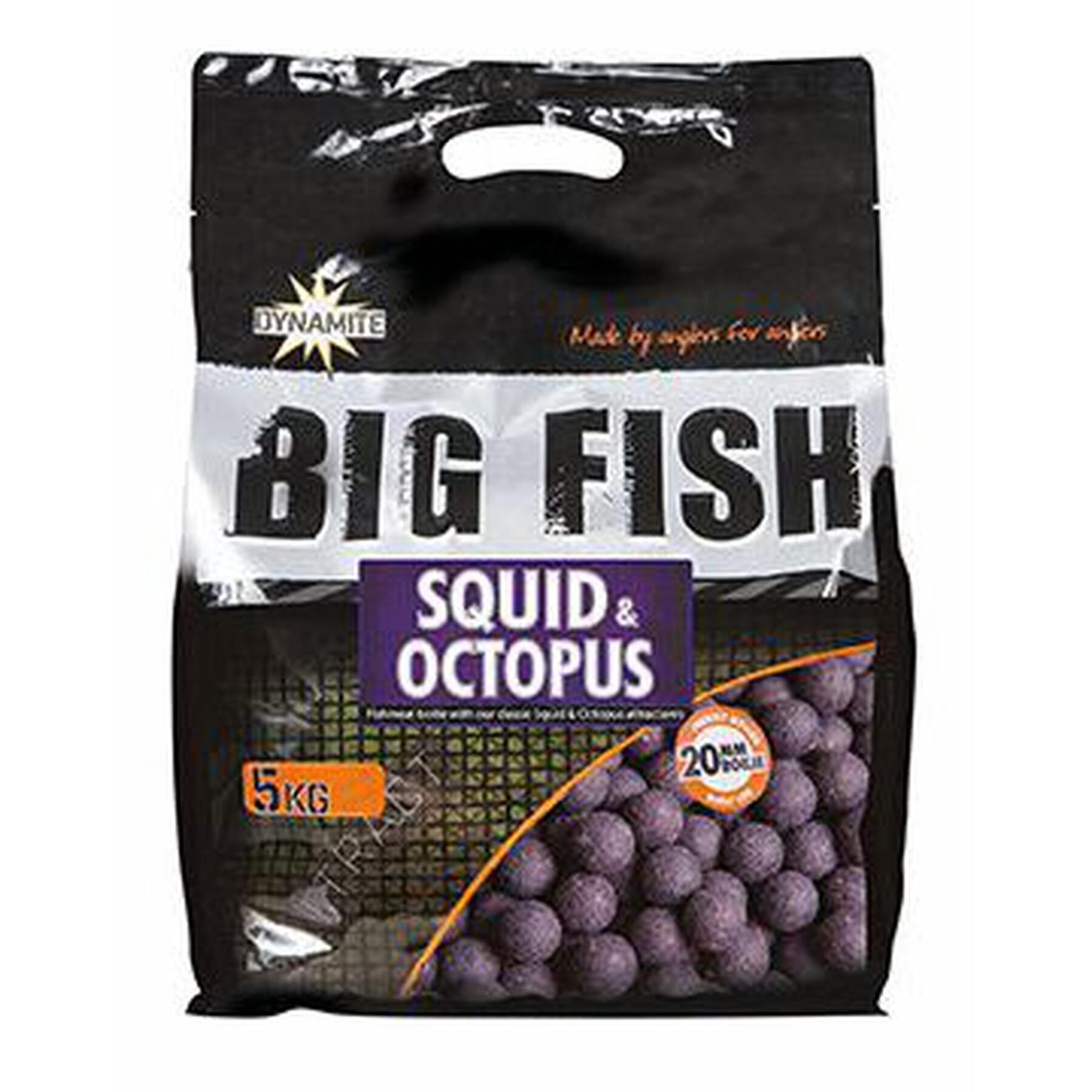 Bouillettes denses Dynamite Baits squid & octopus 20 mm 5 kg