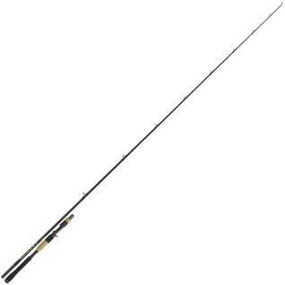 Canne casting Injection Tenryu Bc 73H Pike Special 20-80g
