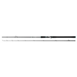 Canne spinning Salmo Tollmaster