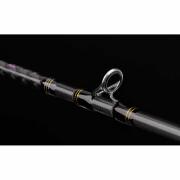 Canne spinning Spro Specter Expedi 10-30g