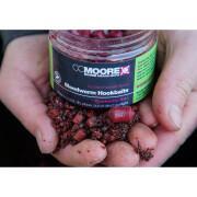 Bouillettes CCMoore Bloodworm Hookbaits (50) 1pot