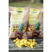 Bouillettes Radical Pineapple Zombie – 1kg
