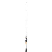 Canne casting Shimano Expride 7-21 g