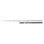 Canne spinning Shimano Beastmaster Catfish Vertical 200g